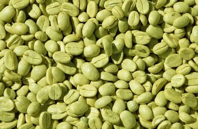 Buy Green Beans